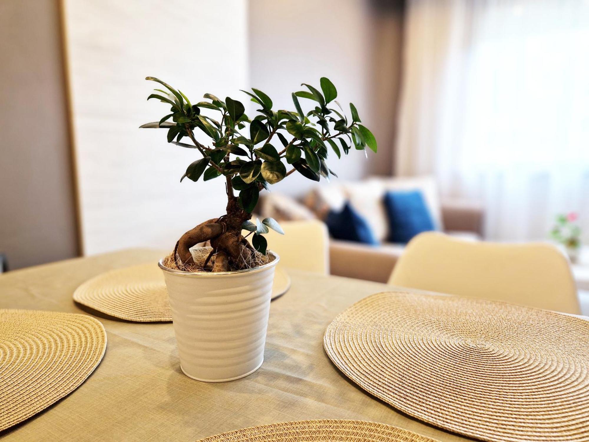 Central Apartment - Spacious Designer Property In Stara Zagora Exterior photo